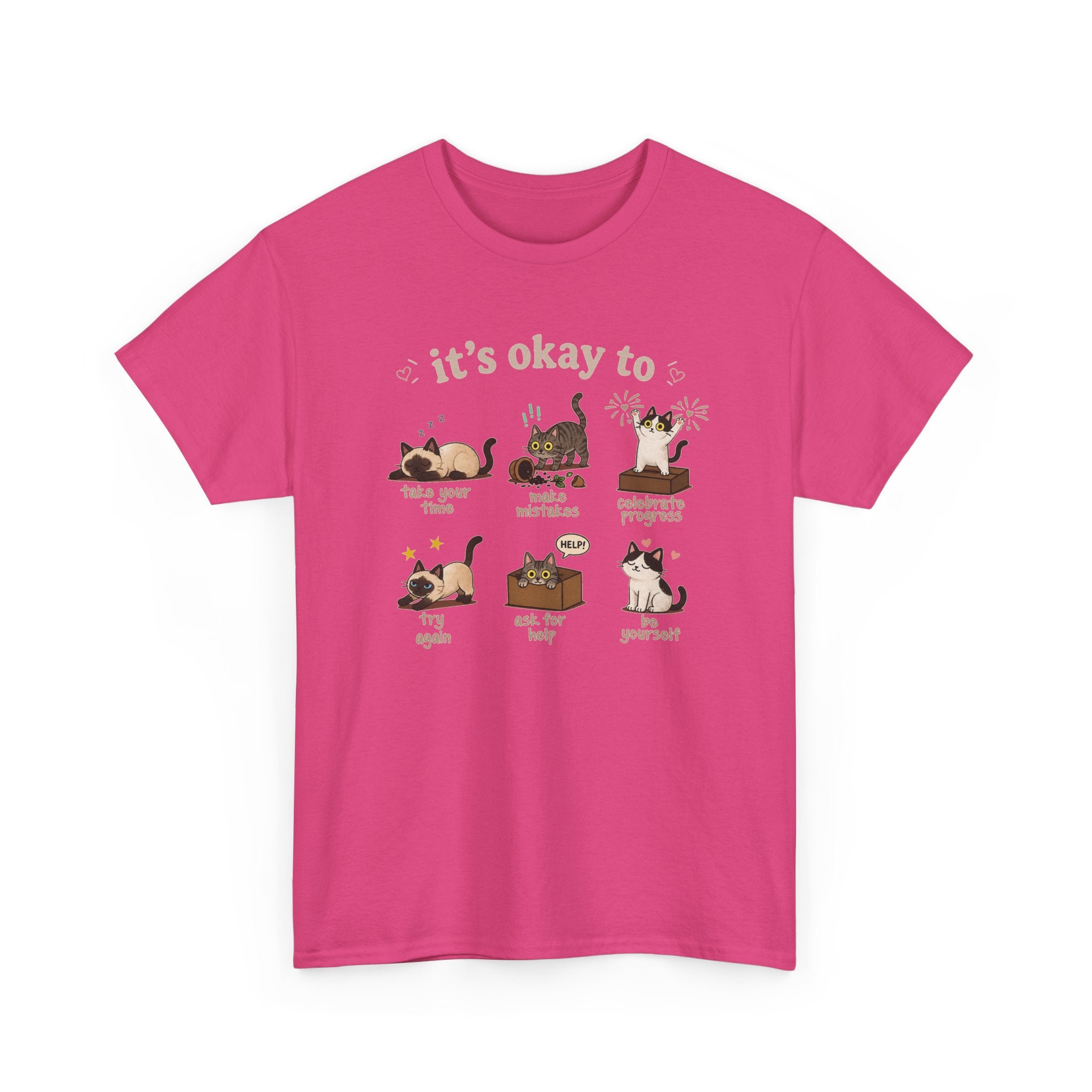 It’s Okay! Perfect Cat Graphic Tee — Cute Comfort Cat Lover Gift