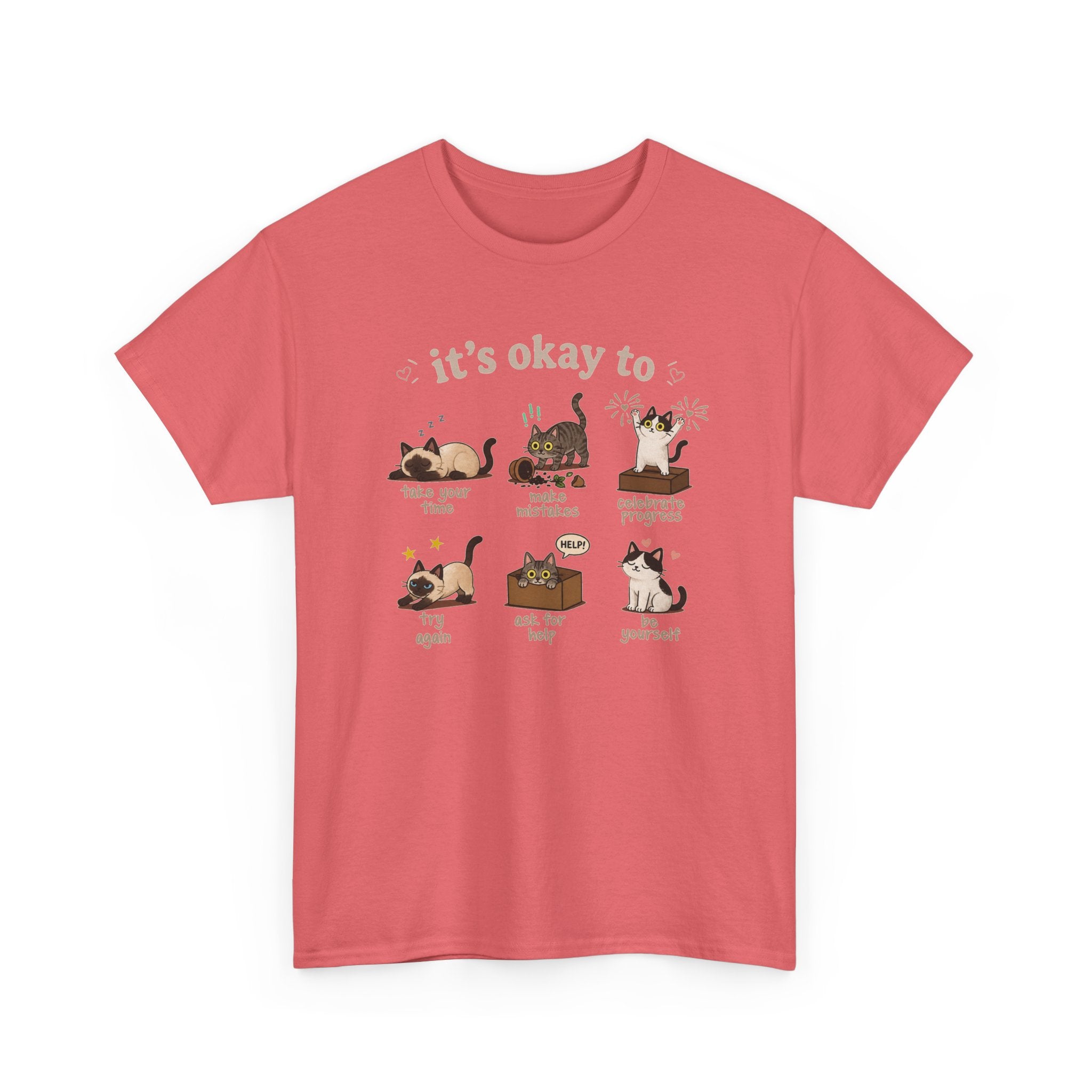 It’s Okay! Perfect Cat Graphic Tee — Cute Comfort Cat Lover Gift