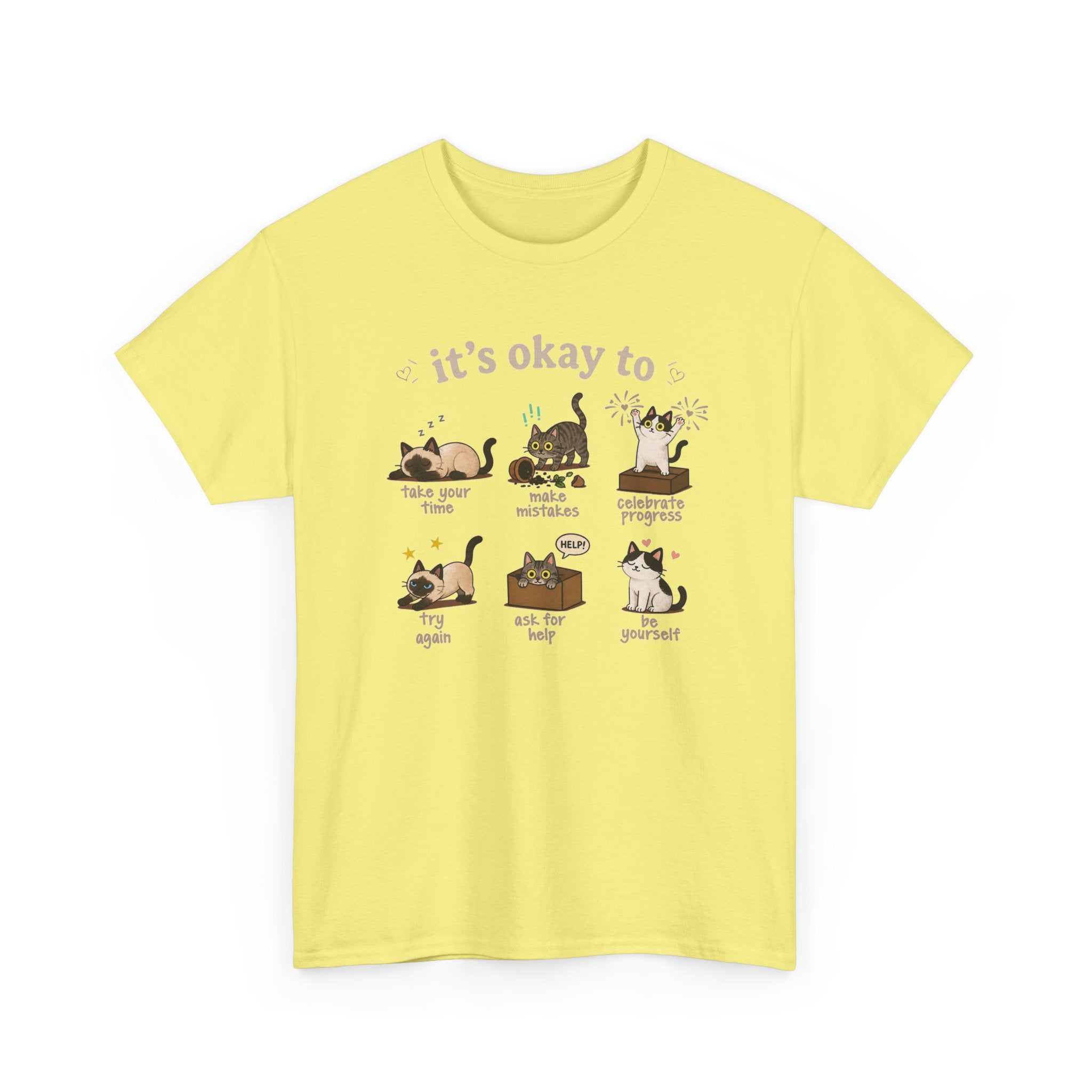 It’s Okay! Perfect Cat Graphic Tee — Cute Comfort Cat Lover Gift