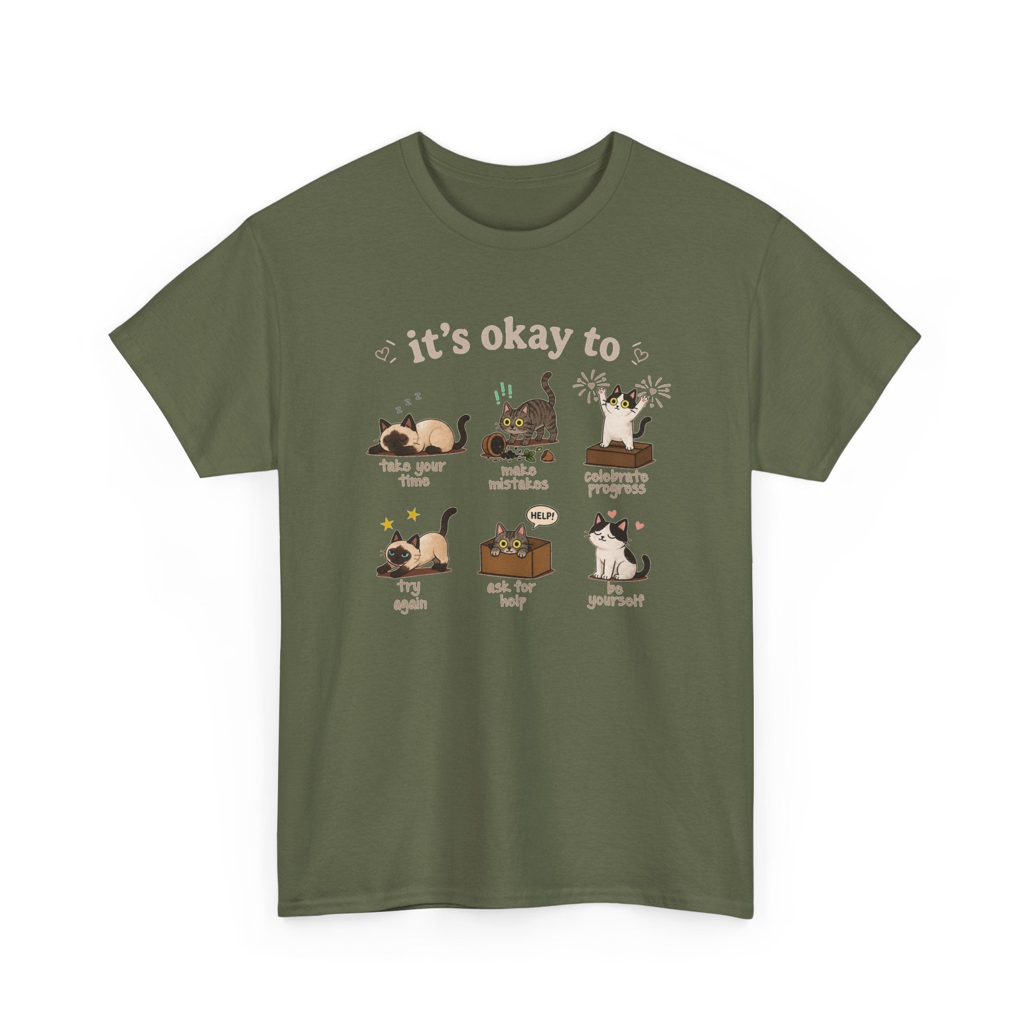 It’s Okay! Perfect Cat Graphic Tee — Cute Comfort Cat Lover Gift